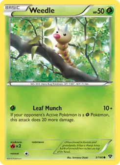 Weedle (XY 3/146)